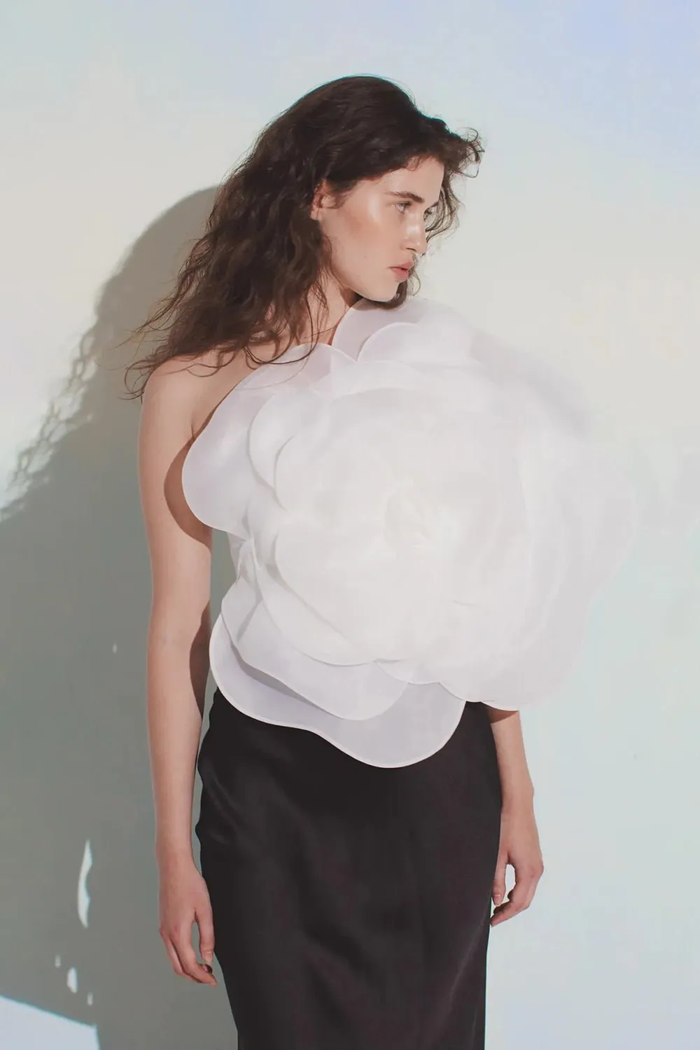 3D Floral Corset and Maxi Skirts